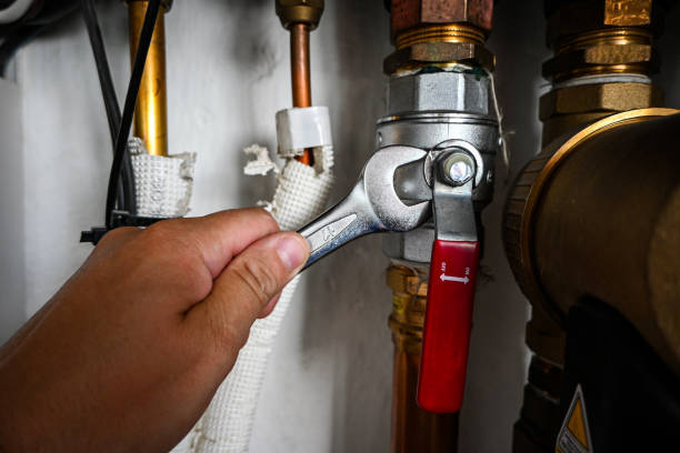Best Clogged Drain Plumber  in Windham, OH